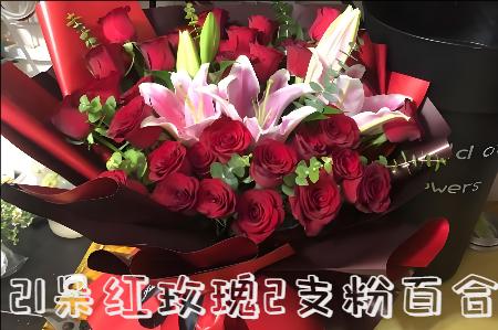 焦作沁阳市花店